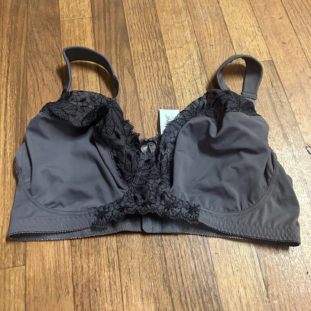 Curve Muse Lingerie